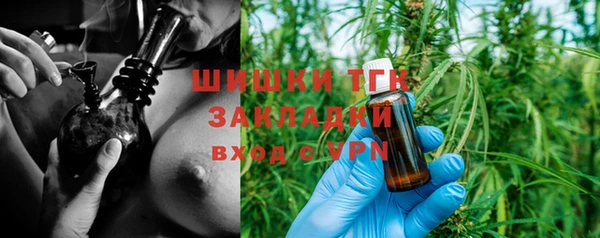 СК Богородск