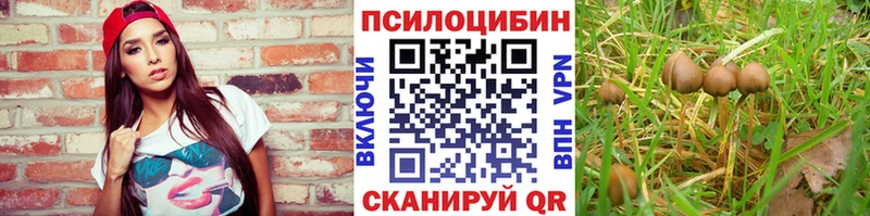 маркетплейс клад  Елабуга  Галлюциногенные грибы мухоморы 